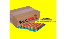 CAIXA COM 360 OVOS JUMBO VERMELHO 